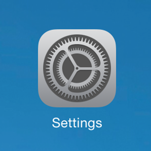 iPad Settings Icon