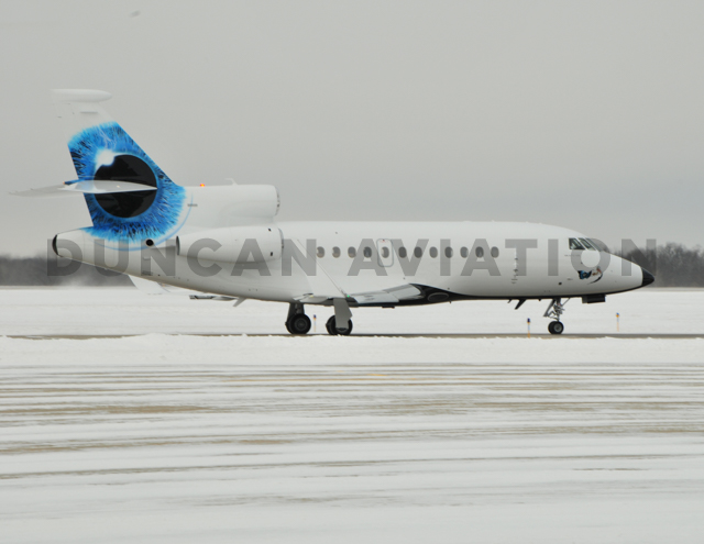 White Falcon 900 with eye catching tail paint