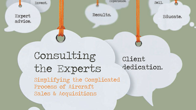 19-consulting_the_experts